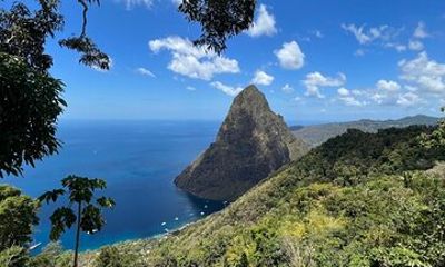 St Lucia Tet Paul Nature Trail and Sulphur Springs Tour