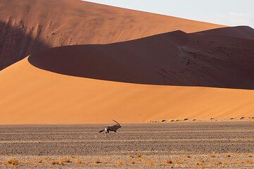 Southern Africa Adventure - Namibia, Botswana and Victoria Falls