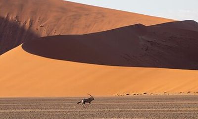 Safari of a Lifetime in the Magic of Southern Africa