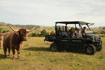 Eventide Sanctuary Encounters and Richmond Old Town