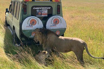 7 Day Budget Group Joining Safari Adventure