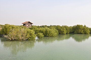 Private North Qatar Tour with Fort Visit