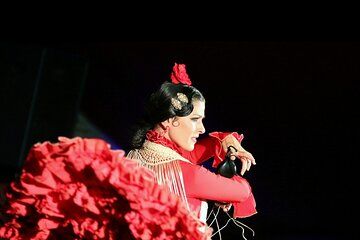 The Best Flamenco in Madrid Show with Dinner and Drink
