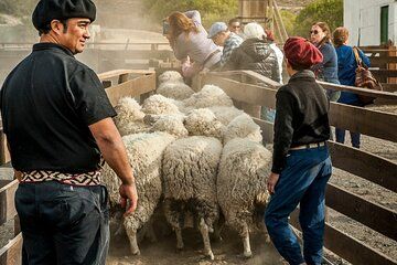 Estancia 25 de Mayo Country Afternoon with Dinner Show and Riding