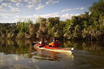 Kayaking Adventure in the Paraná River Delta