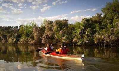 Kayaking Adventure in the Paraná River Delta
