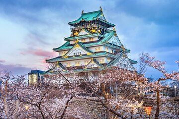 Osaka Castle: guided tour of its interior and gardens