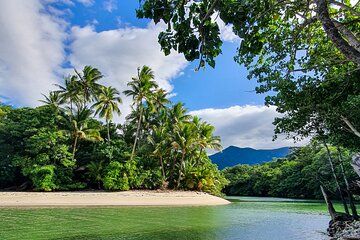 Private Luxury Daintree Dream Tour All Inclusive