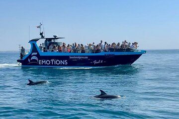 Portimão : 3 hours — Dolphins Watching — Biologist on Board