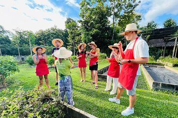 Full Day Thai Cooking Class and Local Market Tour in Chiang Mai