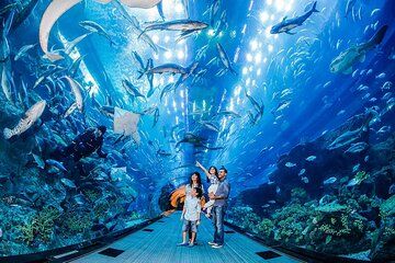 Dubai Underwater Zoo and Aquarium with Penguin Cove