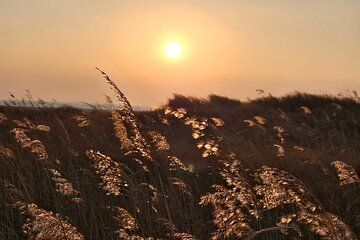 Five Senses Journey in Busan West Side Full Day