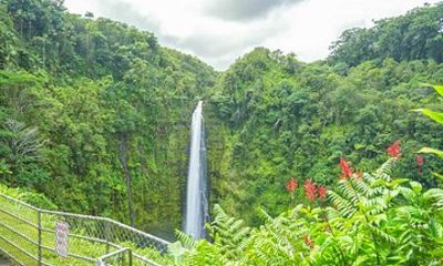 Hilo Finest Waterfalls and Town Tour