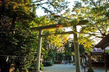 Day Trip From Mount Aso to Miyazaki with Boat Ride