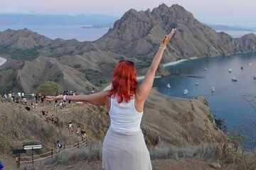 Full Day Komodo Island Hopping Tour from Labuan Bajo