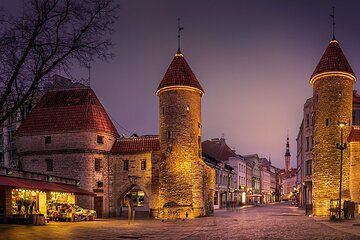 Tallinn Private Tour from Cruise Port