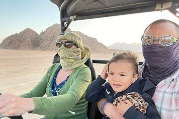 Family Buggy Safari with Camel Trek and Transfer / Marsa Alam