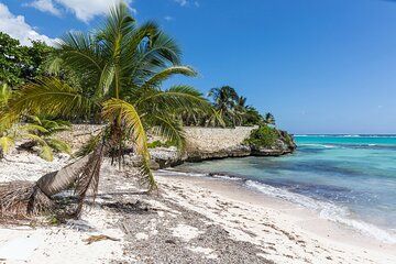 Beach Escape Private Shore Tour from Grand Cayman Port