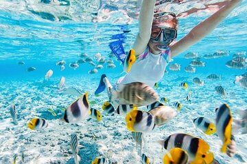 Hidden Reefs of Nha Trang Bay Half Day Snorkeling Activity