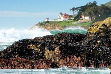 Coastal Hiking Adventures on California's Central Coast