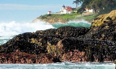 Coastal Hiking Adventures on California's Central Coast