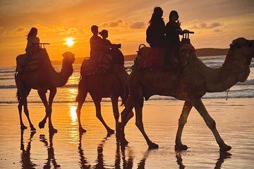 Camel Ride Adventure in Essaouira
