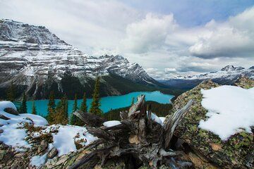 Columbia Icefield Skywalk Crowfoot Glacier and Lakes Tour