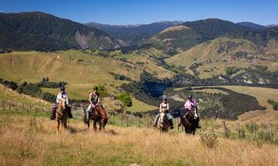 High Country Enchantment Full-Day Horse Trek