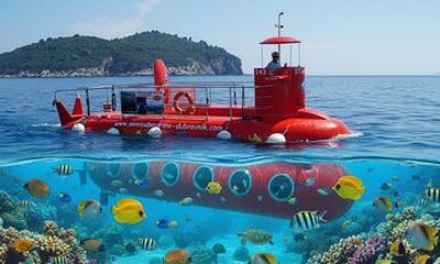 Havelock Coral Experience: Semi-Submarine and Radhanagar Beach