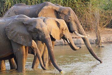 Victoria Falls Signature Adventure Bungee Rafting Heli and Boma