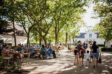 Family Oriented Cape Winelands and Vineyard Tour