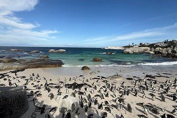 Cape Town Private Photo Safari Walk