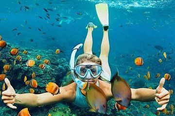 Blue Lagoon Snorkeling Lunch Private Transport Tour