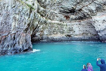 Akaroa Day Tour from Christchurch with Scenic Harbour Views