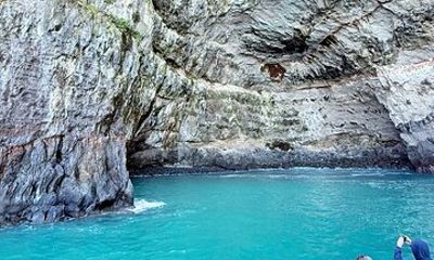 Akaroa Day Tour from Christchurch with Scenic Harbour Views