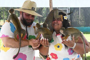 Experience of Observation and Interaction with Squirrel Monkeys