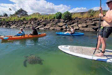 Guided Paddleboard and Kayak Tour on the Anahulu River