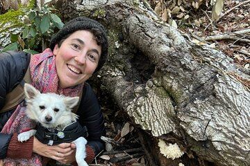 Ecological Mushroom Foraging Workshop