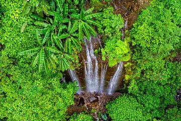 Hike to the 7 Waterfalls in Juayua