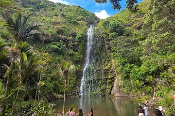 Private Auckland West Coast Tour Piha Beach and Karekare Falls
