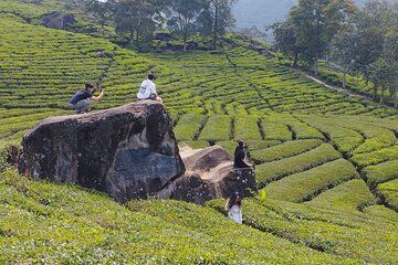 Volcano Mountain Private Car Tour White Crater Bandung
