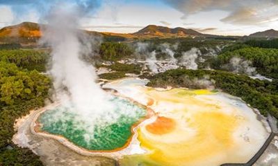 Rotorua Highlights Tour: WaiOTapu, Ziplining, Lunch from Auckland