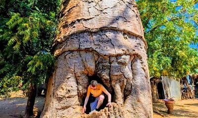 Baobab tour in Morondava