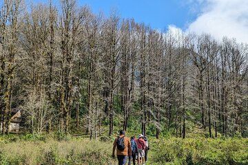 Exploration of Caverns and Mazatecan Culture