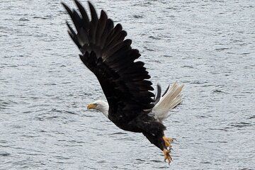 Private Van Beach and Wildlife Tour