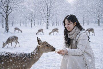 Depart from Osaka & Kyoto: Classic Nara Park&Fushimi Inari Tour