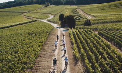 Reims: visit to Champagne by electric bike with tastings