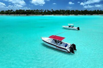 Private Isla Saona Boat Trip from Bayahibe Full Day