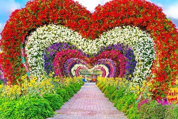 Miracle Garden Dubai City Sightseeing Tour