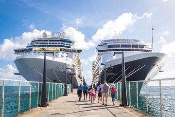 Bali Full Day Tour from Benoa Port All Inclusive